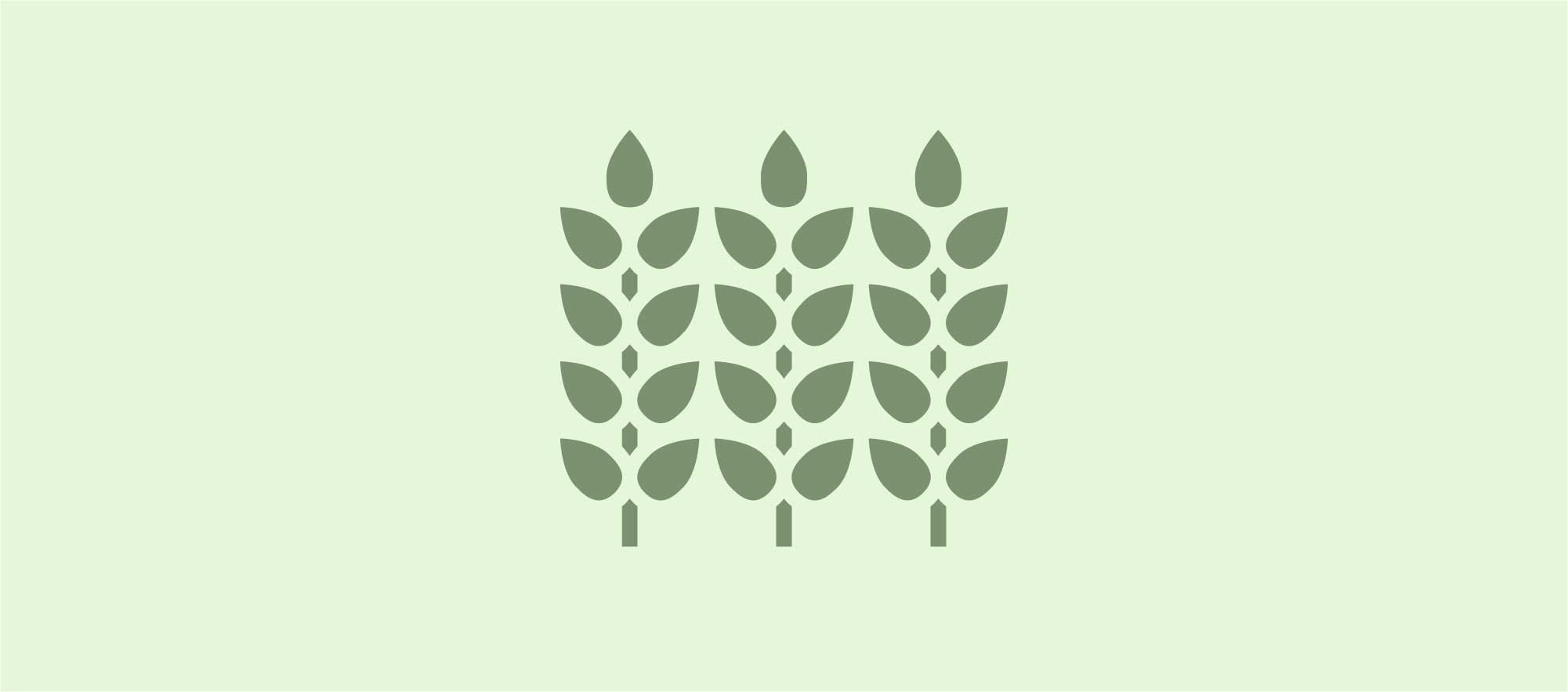 Purchasing Knowledge Hub